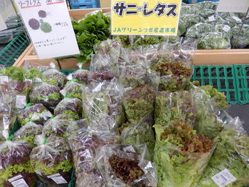 おいしい旬の産直売場