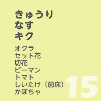 8月15日