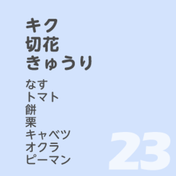9月23日