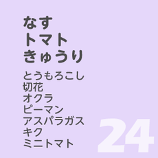 7月24日