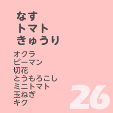 7月26日